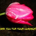 *** Thank you for your comment ***