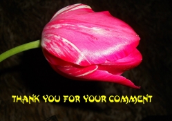 *** Thank you for your comment ***