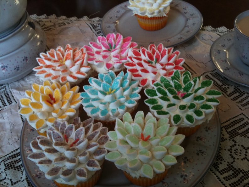 Flower cupcakes for Tom (Kendra1949)