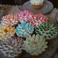 Flower cupcakes for Tom (Kendra1949)