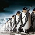 linux army