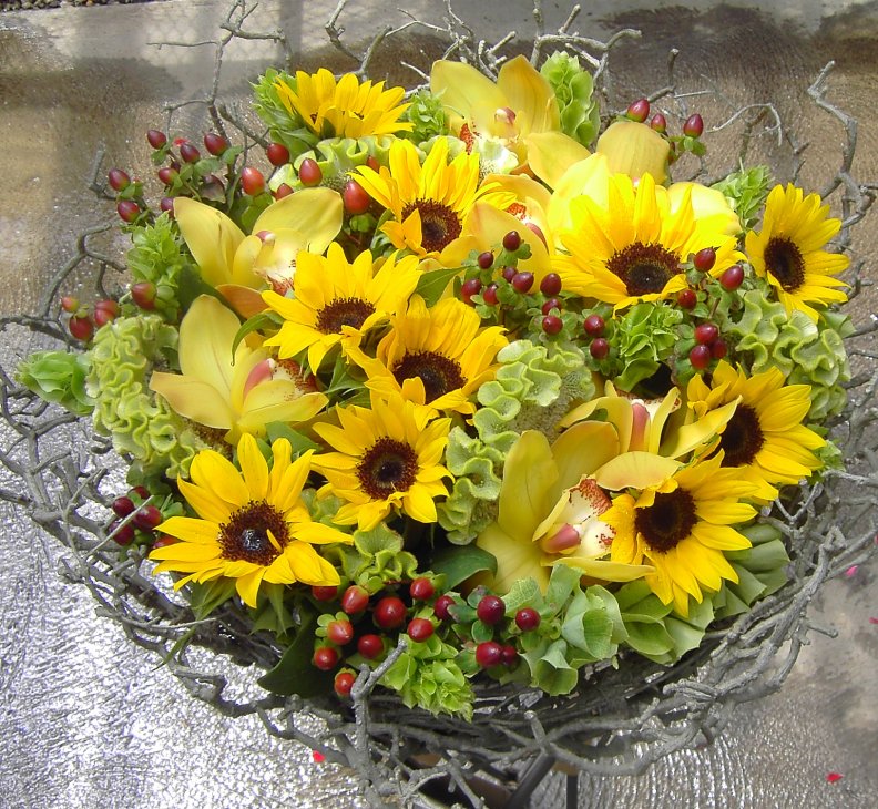 soak_up_the_sunflowers.jpg