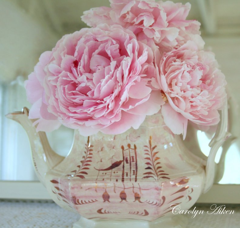 Perfectly Pink Peonies