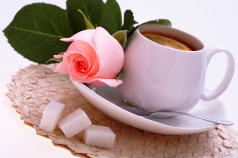 Pink rose and a cup of tea