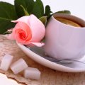 Pink rose and a cup of tea