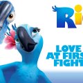 Rio Love At First Fight