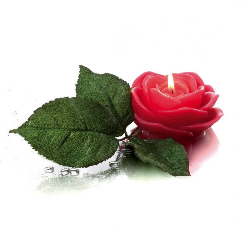 rose_candle.jpg