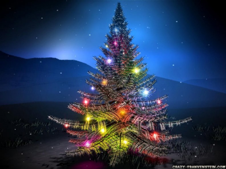 christmas_tree_on_the_mountain.jpg