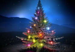 Christmas tree on the mountain