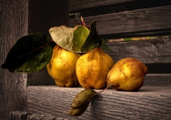 *** Pears ***