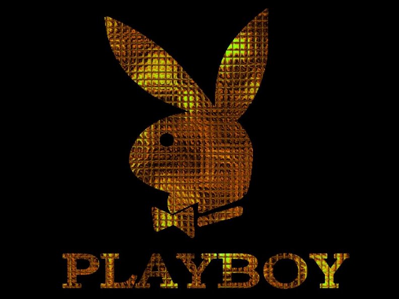the_playboy_bunny.jpg