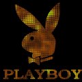The Playboy Bunny