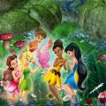 Disney Fairy Princesses
