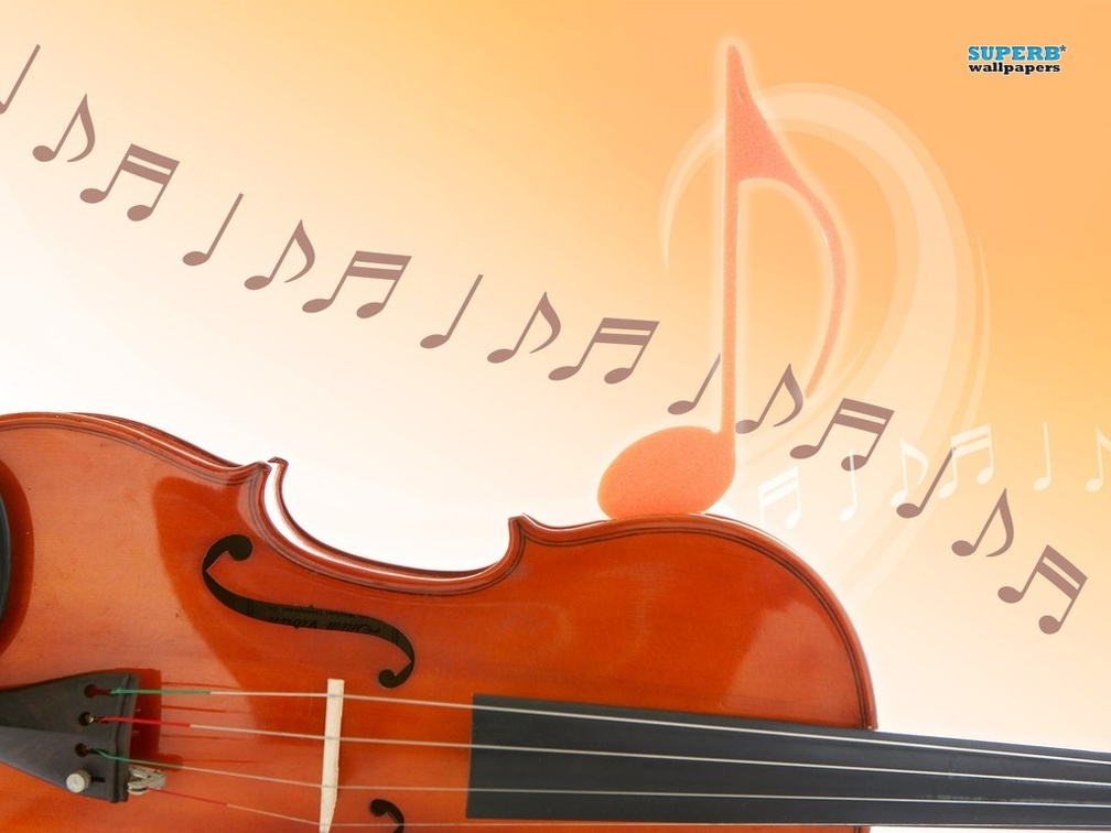 ~The Violin~