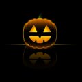 halloween pumpkin on black background