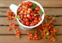 *** Red Currants ***