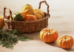 *** Pumpkins in the basket ***