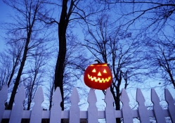 ***  Frightening Halloween Soon ***