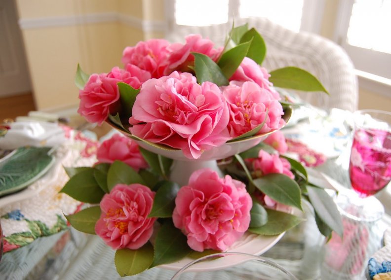 camellias_in_a_springtime.jpg