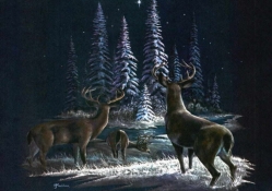 deer on Christmas Eve