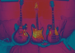 tinsley ellis guitars