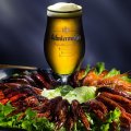 *** Beer and Appetizer ***