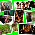 epic hunger games collage