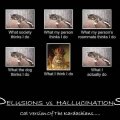 Delusions vs Hallucinations