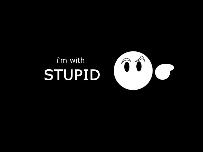 im_with_stupid.jpg