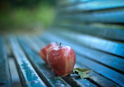 *** Apples on the bench ***
