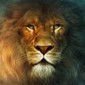 Narnia Lion