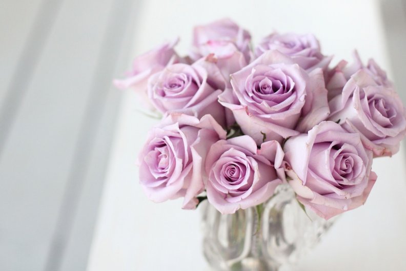 lavender_love.jpg