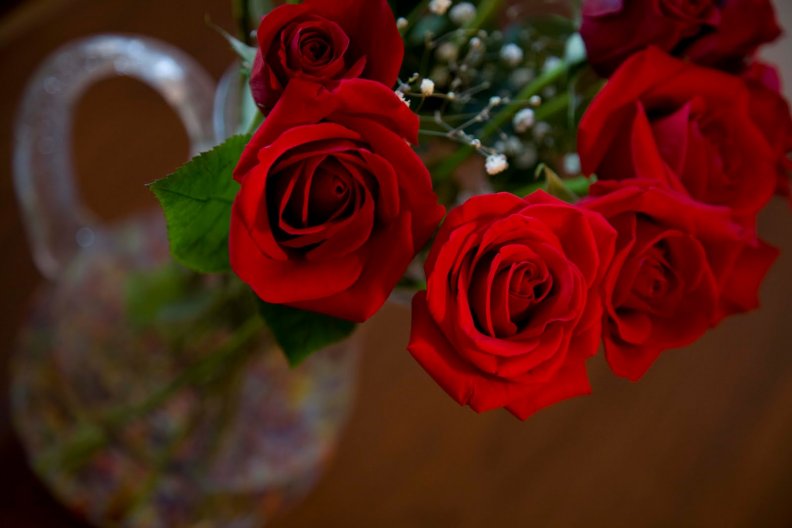 Roses are Forever♥