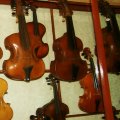 A Violin Collection