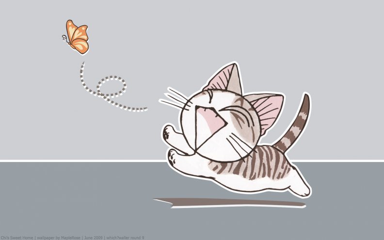 TO CATCH A BUTTERFLY