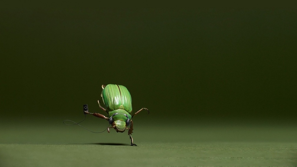 Dancing Bug