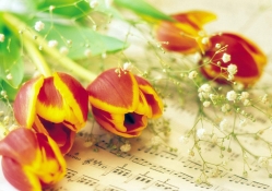 Spring Song♥