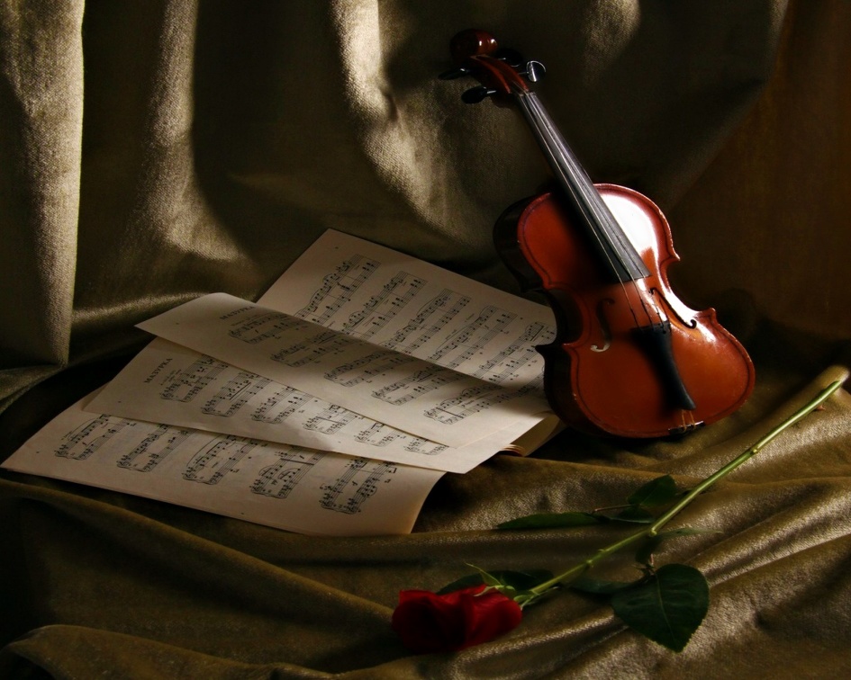  A Violin and a Rose