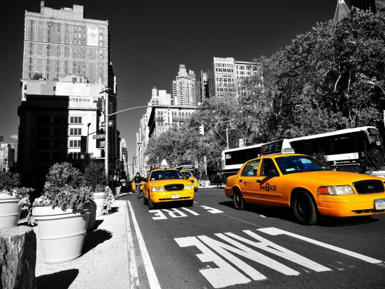 new_york_city.jpg