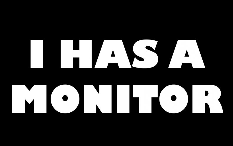 i_has_a_monitor.jpg
