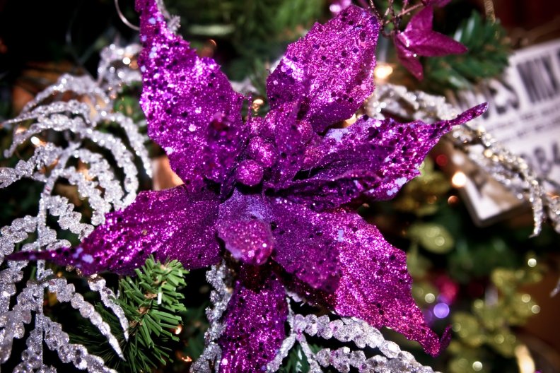 purple_glow_for_christmas.jpg