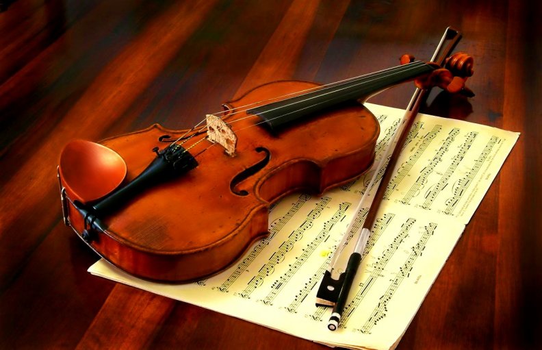 The Stradivarius Violin For Rosa