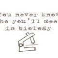 Twilight Biology Quote