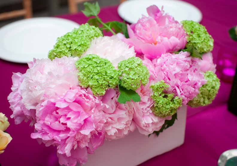Pink and Green Elegance ~ ♥ ~