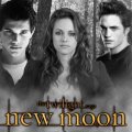 Black and White New Moon poster