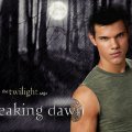 Jacob Black Breaking Dawn