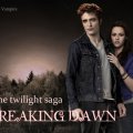 Breaking Dawn 11_18_11
