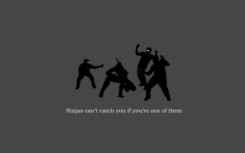 ninjas_cant_catch_you.jpg