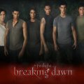 The Gang Is All Here {Breaking Dawn}