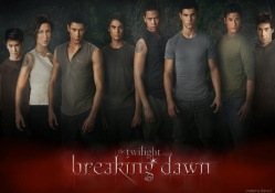 The Gang Is All Here {Breaking Dawn}